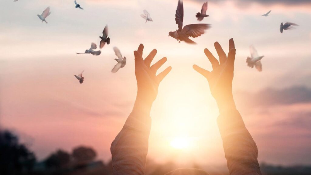 A person with their hands up in the air as birds fly overhead.